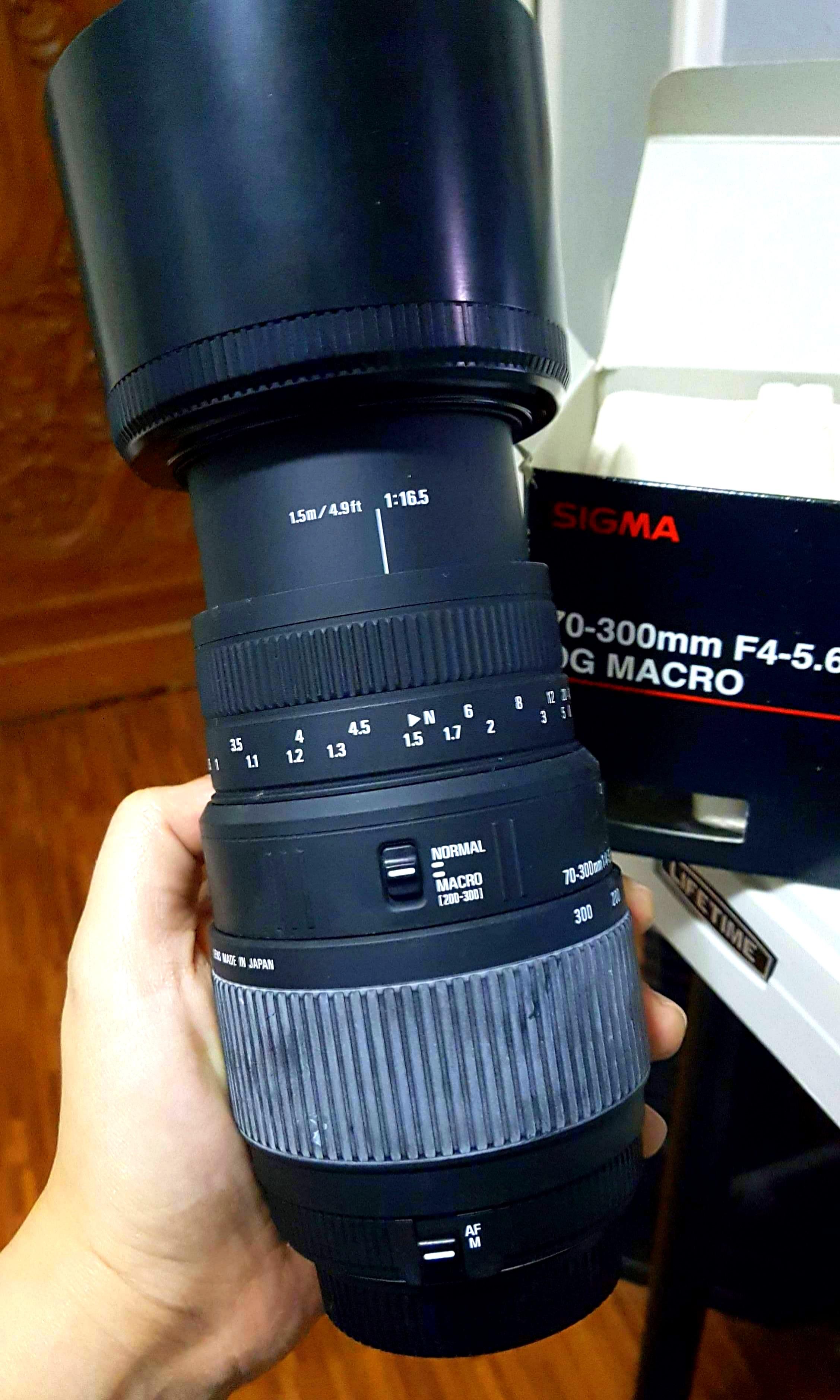 SIGMA 70-300mm F4-5.6 DG Macro photo